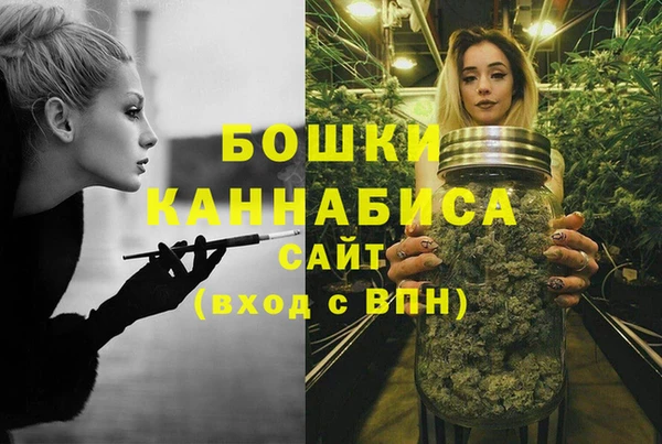 стафф Михайловск