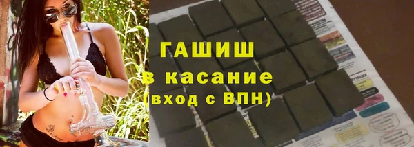 прущие грибы Медногорск