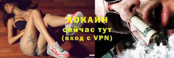 стафф Михайловск
