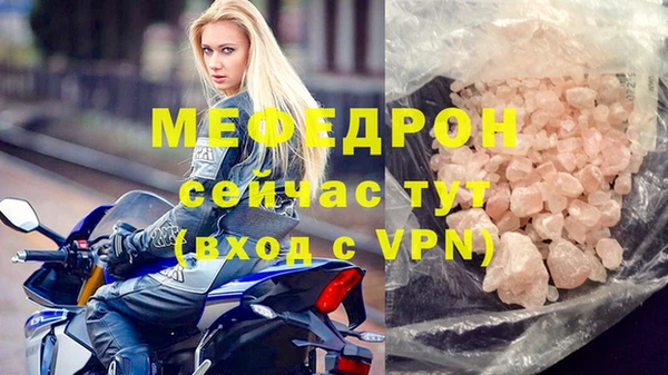 прущие грибы Медногорск
