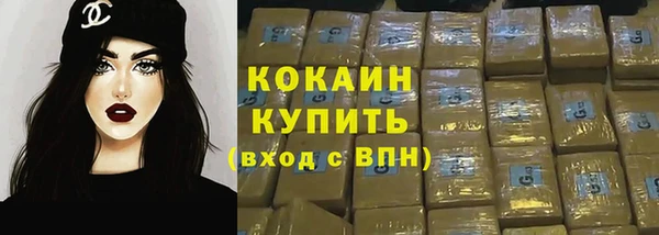 прущие грибы Медногорск