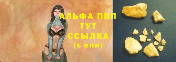прущие грибы Медногорск