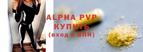 стафф Михайловск