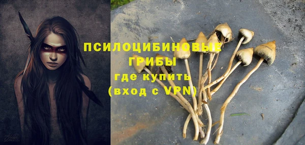 стафф Михайловск